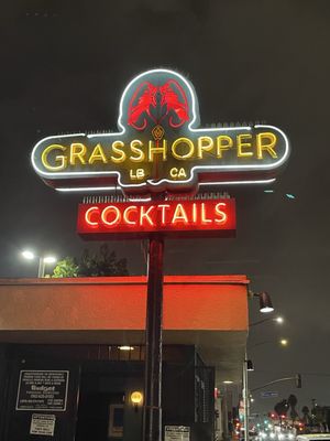 The Grasshopper by null