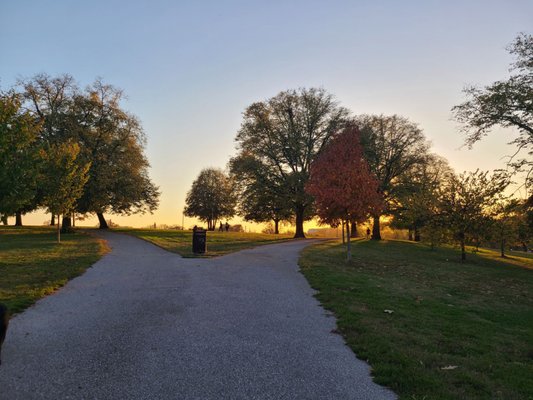Patterson Park by null