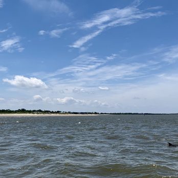Dolphin Magic Tours - Tours Near Me - Savannah, Georgia