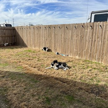Cedar Meadow RV Park - Fur babies safe in the fenced spot - RV Parks Near Me - Anna, Texas Cedar Meadow RV Park - Fur babies safe in the fenced spot - RV Parks Near Me - Anna, Texas