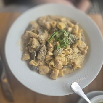 De Novo European Pub - Pasta with chicken in cream sauce - Pubs Near Me - Edgewater, New Jersey De Novo European Pub - Pasta with chicken in cream sauce - Pubs Near Me - Edgewater, New Jersey