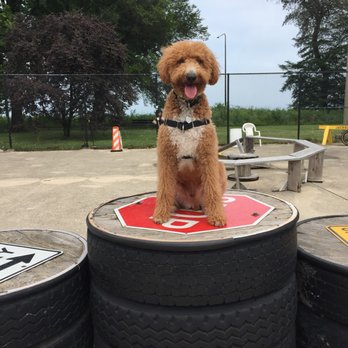 Jackson Bark - Dog Parks Near Me - Chicago, Illinois
