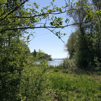 Igelsbachsee - Bathing Area Near Me - Spalt, BY