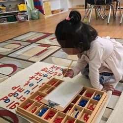 Orchard Montessori