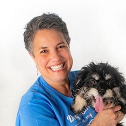 High Hopes Dog Training