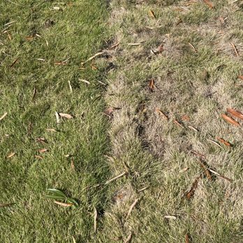 The Sod Man - Landscaping Near Me - Sanford, North Carolina The Sod Man - Landscaping Near Me - Sanford, North Carolina