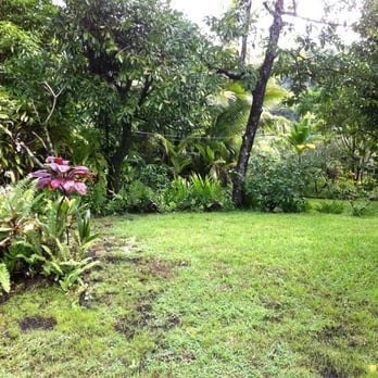 Kapoho Village Inn - The view from the inn's front porch. - Bed & Breakfast Near Me - Pahoa, Hawaii Kapoho Village Inn - The view from the inn's front porch. - Bed & Breakfast Near Me - Pahoa, Hawaii