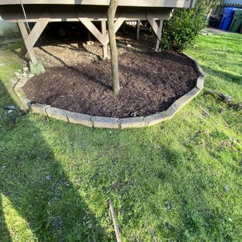 Corteslandscaping - a tree in a raised bed - Landscaping Near Me Corteslandscaping - a tree in a raised bed - Landscaping Near Me