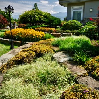 Transformations Landscaping - a garden with various plants and shrubs - Landscaping Near Me - Chilliwack, British Columbia Transformations Landscaping - a garden with various plants and shrubs - Landscaping Near Me - Chilliwack, British Columbia
