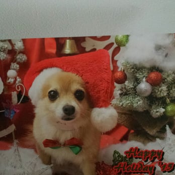 Wan Wan Paradise - Pet Groomers Near Me - Honolulu, Hawaii