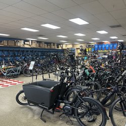 Eugene Electric Bicycles