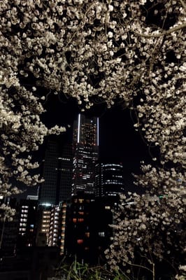 Kamon-yama Park by null