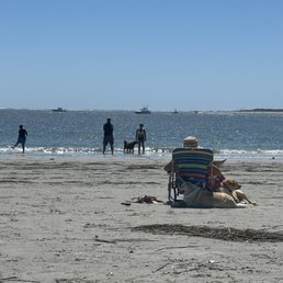 Dog beach