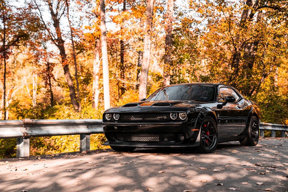 XTREME PERFORMANCE Updated October 2024 19 Reviews 38070 Center