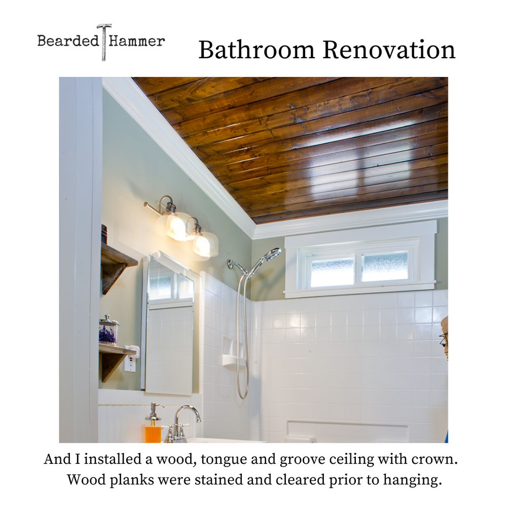 Slide of Bearded Hammer