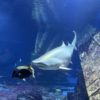 Long Island Aquarium - Aquariums Near Me - Riverhead, New York Long Island Aquarium - Aquariums Near Me - Riverhead, New York