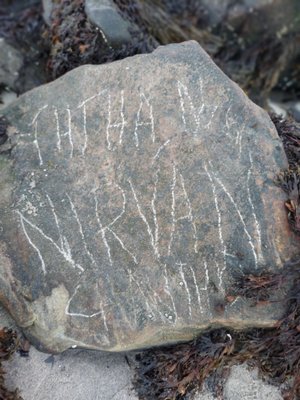 Eastern Promenade Trail by null