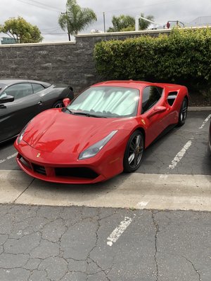 We work on Luxury cars too! - We offer full-service top-quality windshield and window repair services for all foreign and domestic cars, SUVs and vans, and even RV's. We work on Luxury cars too! - We offer full-service top-quality windshield and window repair services for all foreign and domestic cars, SUVs and vans, and even RV's.