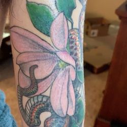Fifth Estate Tattoo - Snake and magnolia tattoo