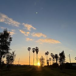 Del Rey Lagoon