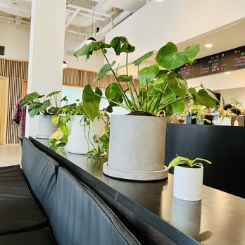 Cora Coffee - Coffee & Tea Near Me - Sacramento, California