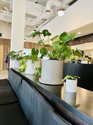 Cora Coffee by null