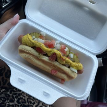 You Dirty Dog - Chicago dog. With spicy mustard, onion, tomato, pickles and relish. - Hot Dogs Near Me - St Augustine, Florida