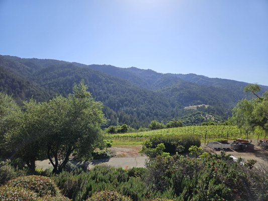 Domaine Eden by null