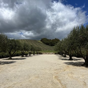 Niner Wine Estates - Wine Tasting Room Near Me - Paso Robles, California