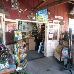 Chapman's Flowers & Gifts