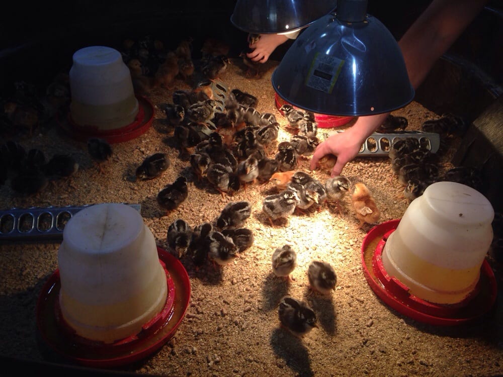 BASIN FEED & SUPPLY Updated October 2024 15 Reviews 9200 W