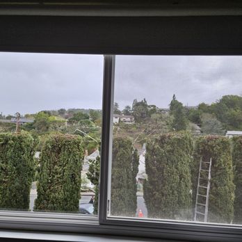 Proficient Tree Care - Look at that - Tree Services Near Me - Concord, California