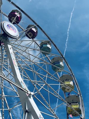 Rodeo Austin by null