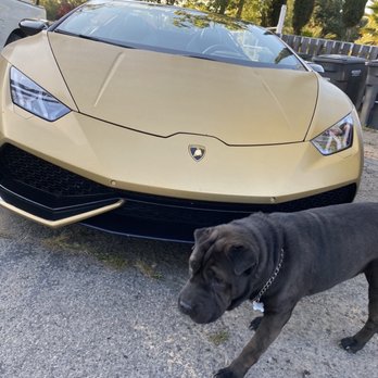 First Class Exotics - This lambo rental was so powerfully mind blowing ! - Car Rental Near Me - Costa Mesa, California