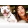Photo of Stark County Humane Society Animal Shelter