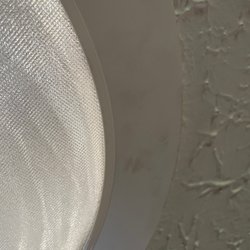 Daylight Concepts