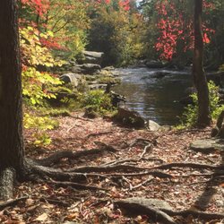 Wildcat Falls Conservation Area