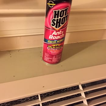 Best Western La Plata Inn - Their solution! Go kill them yourself! - Hotels Near Me - La Plata, Maryland