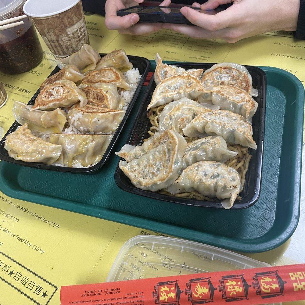 A-Pou's Taste - dumpling 10 Piece Pot Sticker with Lo Mein Combo 10 - Taiwanese Near Me - Brooklyn, New York A-Pou's Taste - dumpling 10 Piece Pot Sticker with Lo Mein Combo 10 - Taiwanese Near Me - Brooklyn, New York