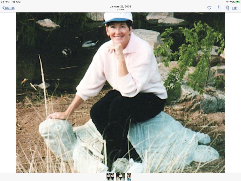 PUMPKIN CENTER BAR Pumpkin Center, AZ Yelp