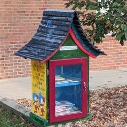 Little Free Library - Little Free Library 70490, Meadowview