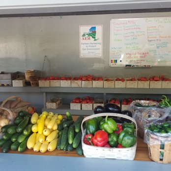 Moses Farm - Look at the organic colors of the produce. Peppers, squash, cucumbers, zucchini and much more. - Fruits & Veggies Near Me - Eagle Bridge, New York