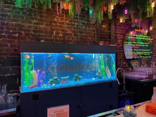 The Goldfish by null