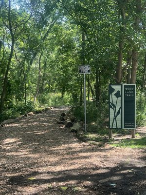 The Sculpture Park by null
