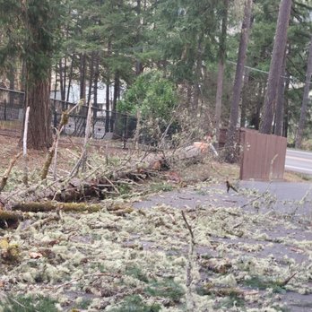 Patriot Tree Service - Tree Services Near Me Patriot Tree Service - Tree Services Near Me