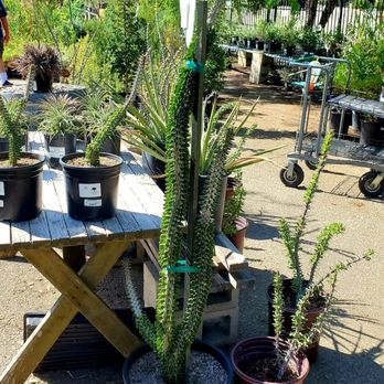 Walter Andersen Nursery - Nurseries & Gardening Near Me - Poway, California