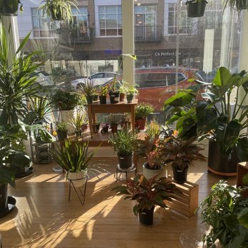 Mason Jar Plant Shop - Nurseries & Gardening Near Me - Kalamazoo, Michigan Mason Jar Plant Shop - Nurseries & Gardening Near Me - Kalamazoo, Michigan