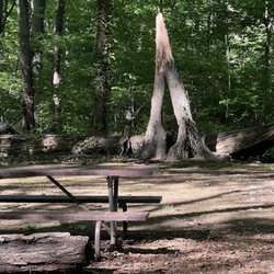 Christopher Morley Park
