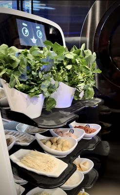 Yiding Hot Pot, Sushi, & More by null