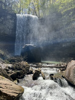 Cloudland Canyon State Park by null